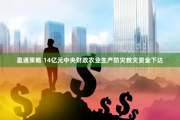 盈通策略 14亿元中央财政农业生产防灾救灾资金下达