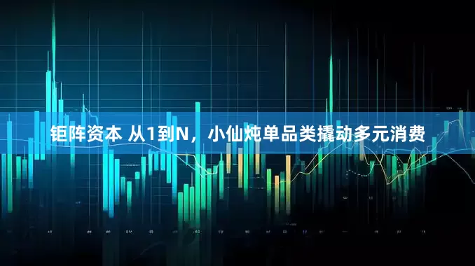 钜阵资本 从1到N，小仙炖单品类撬动多元消费