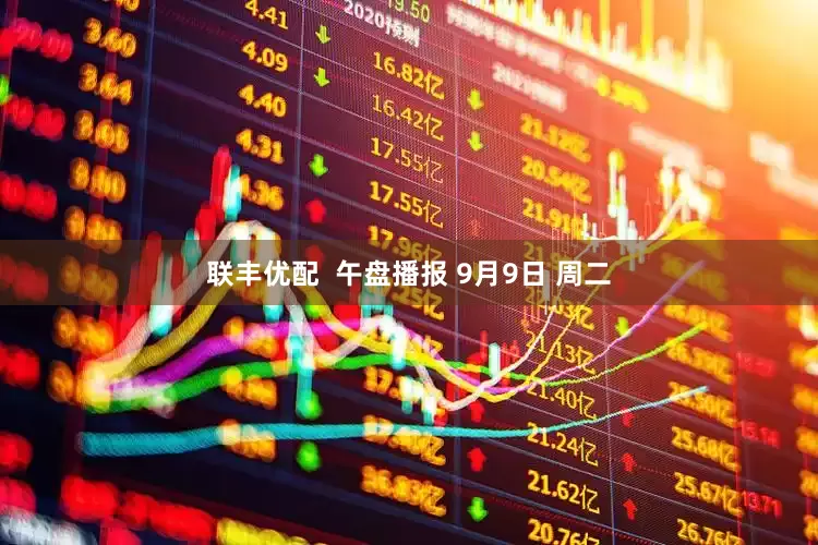 联丰优配  午盘播报 9月9日 周二