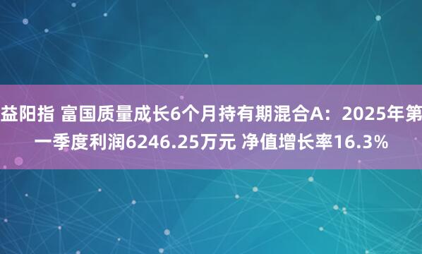 益阳指 富国质量成长6个月持有期混合A：2025年第一季度利润6246.25万元 净值增长率16.3%