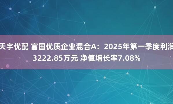 天宇优配 富国优质企业混合A：2025年第一季度利润3222.85万元 净值增长率7.08%